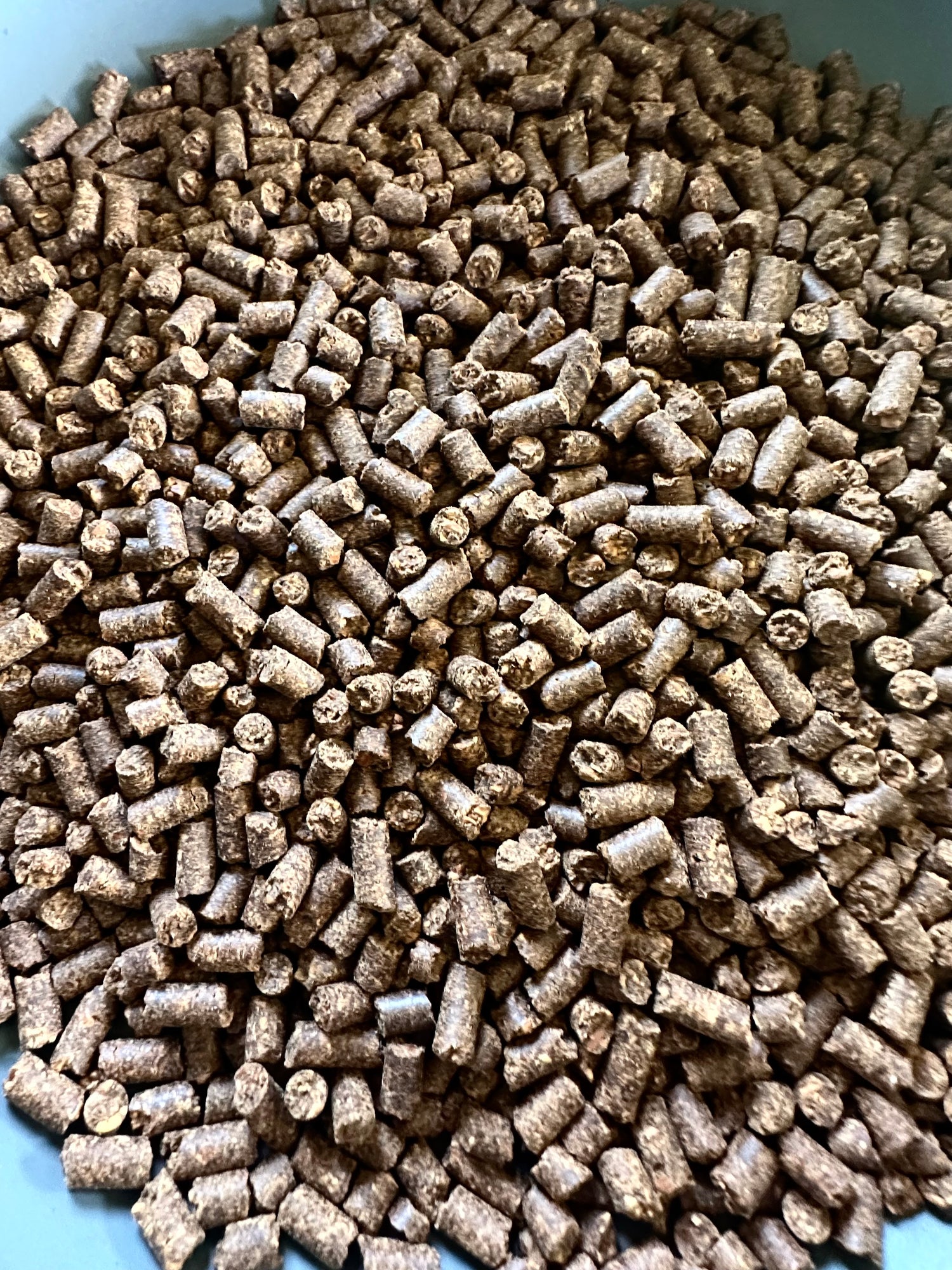 Hazelnut Smoking and BBQ Pellets