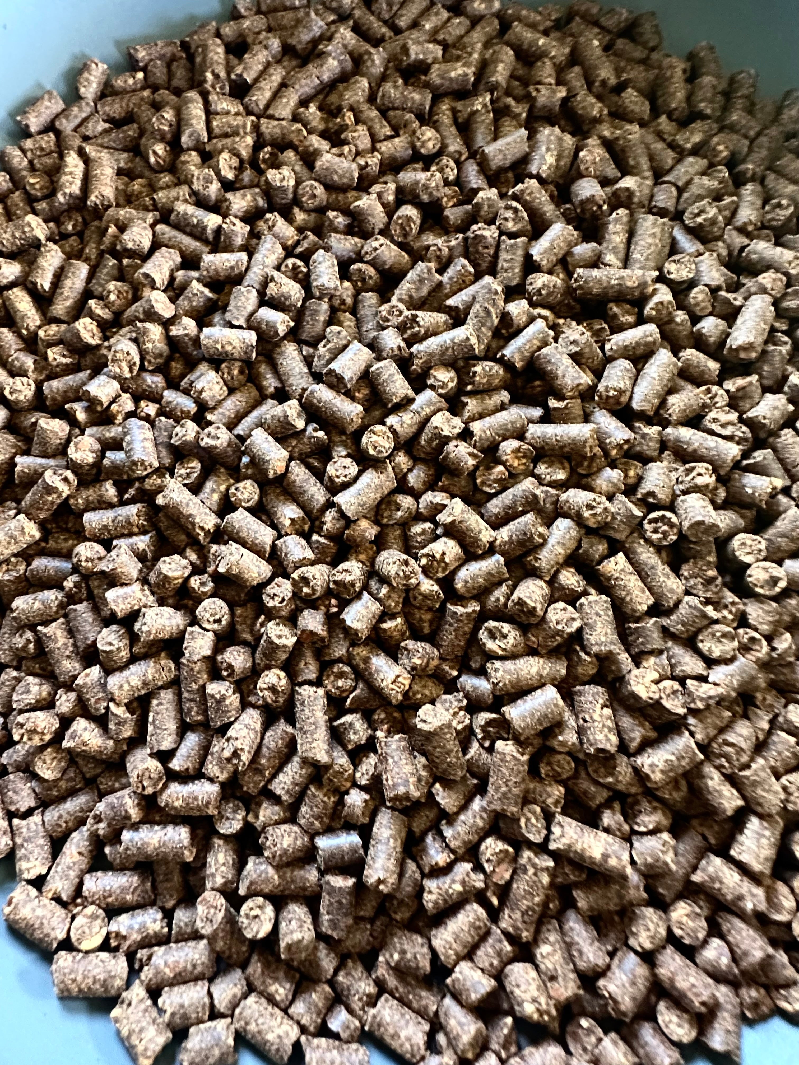 Hazelnut Smoking and BBQ Pellets
