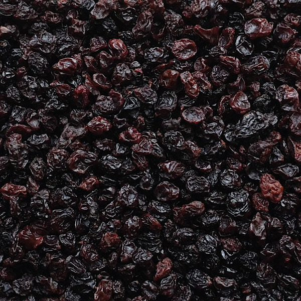 Australian Currants