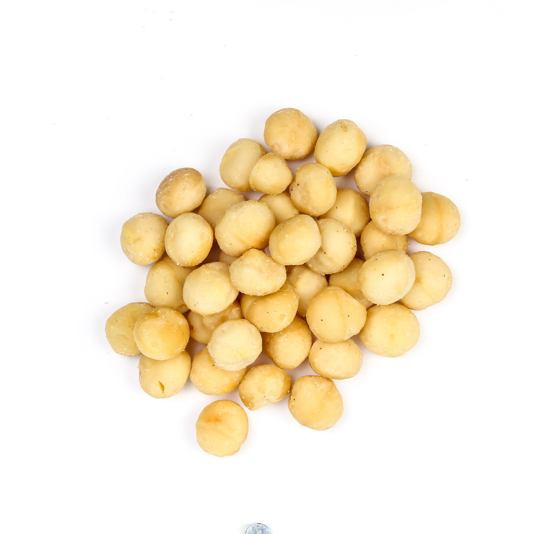 Roasted Salted Macadamias