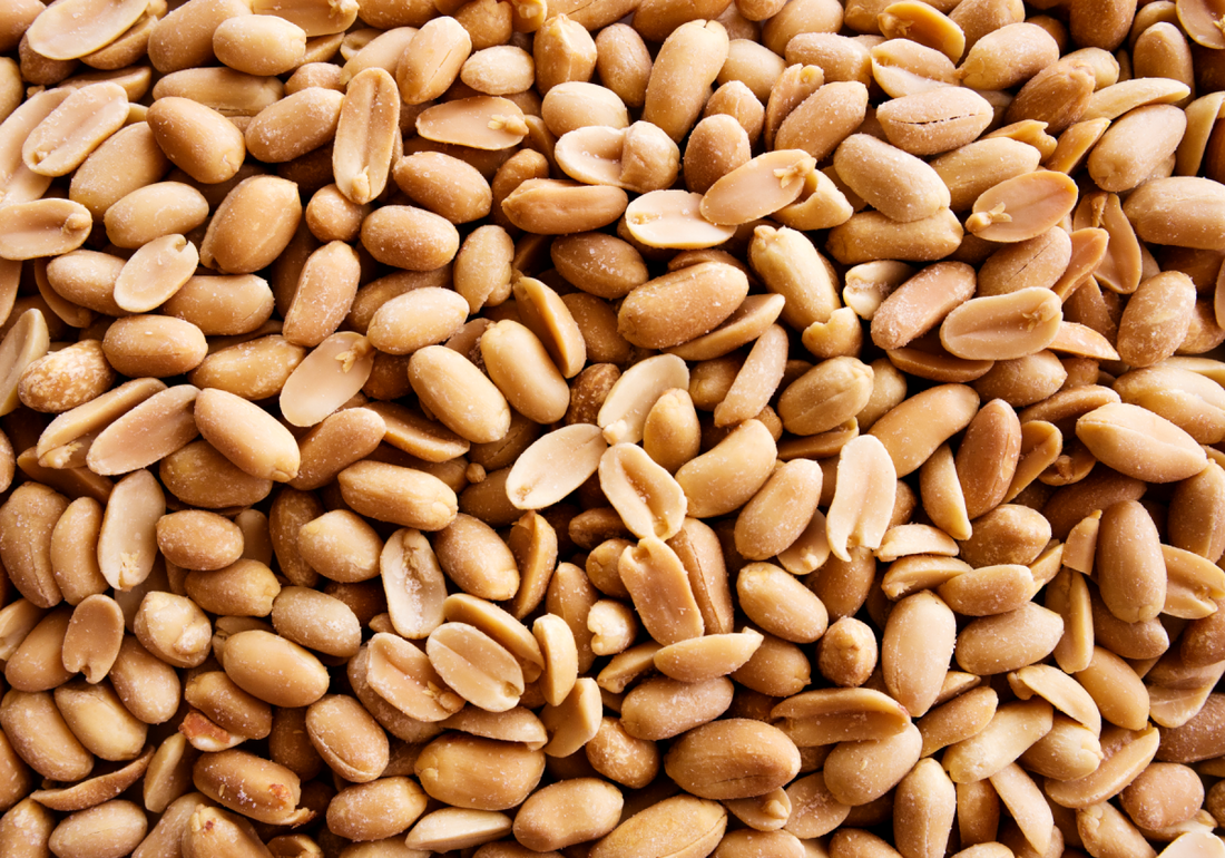 Roasted and Salted Australian Peanuts