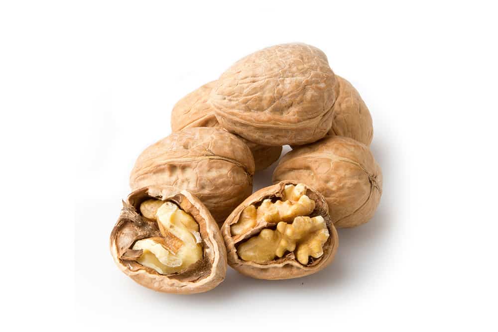 Australian walnuts in shell